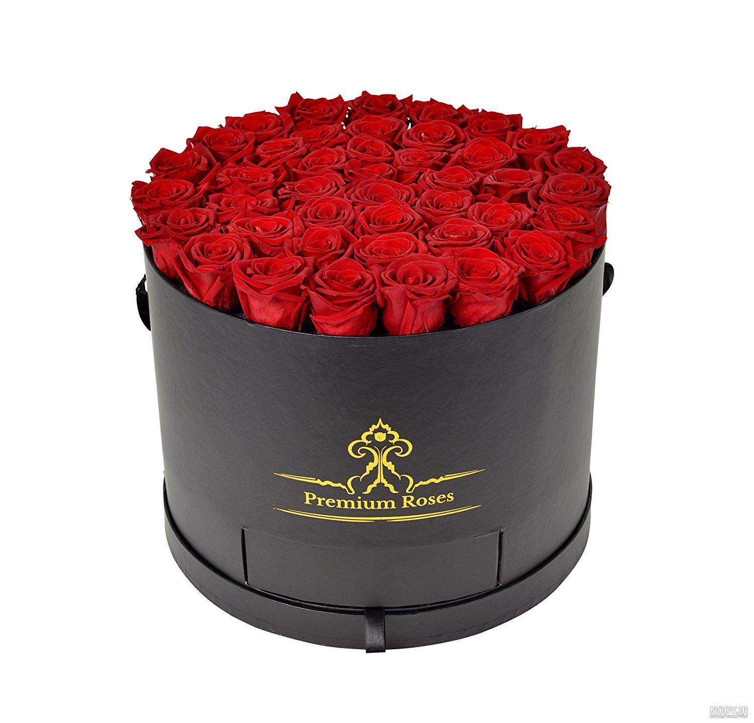 عکس گل ذوزنقه