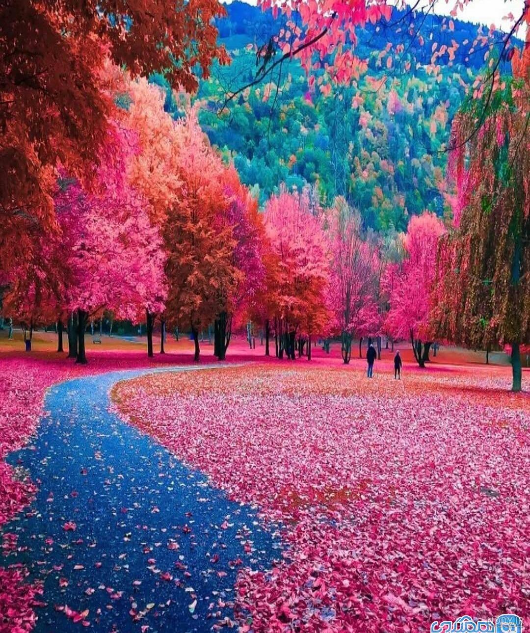 عکس طبیعت زیبا