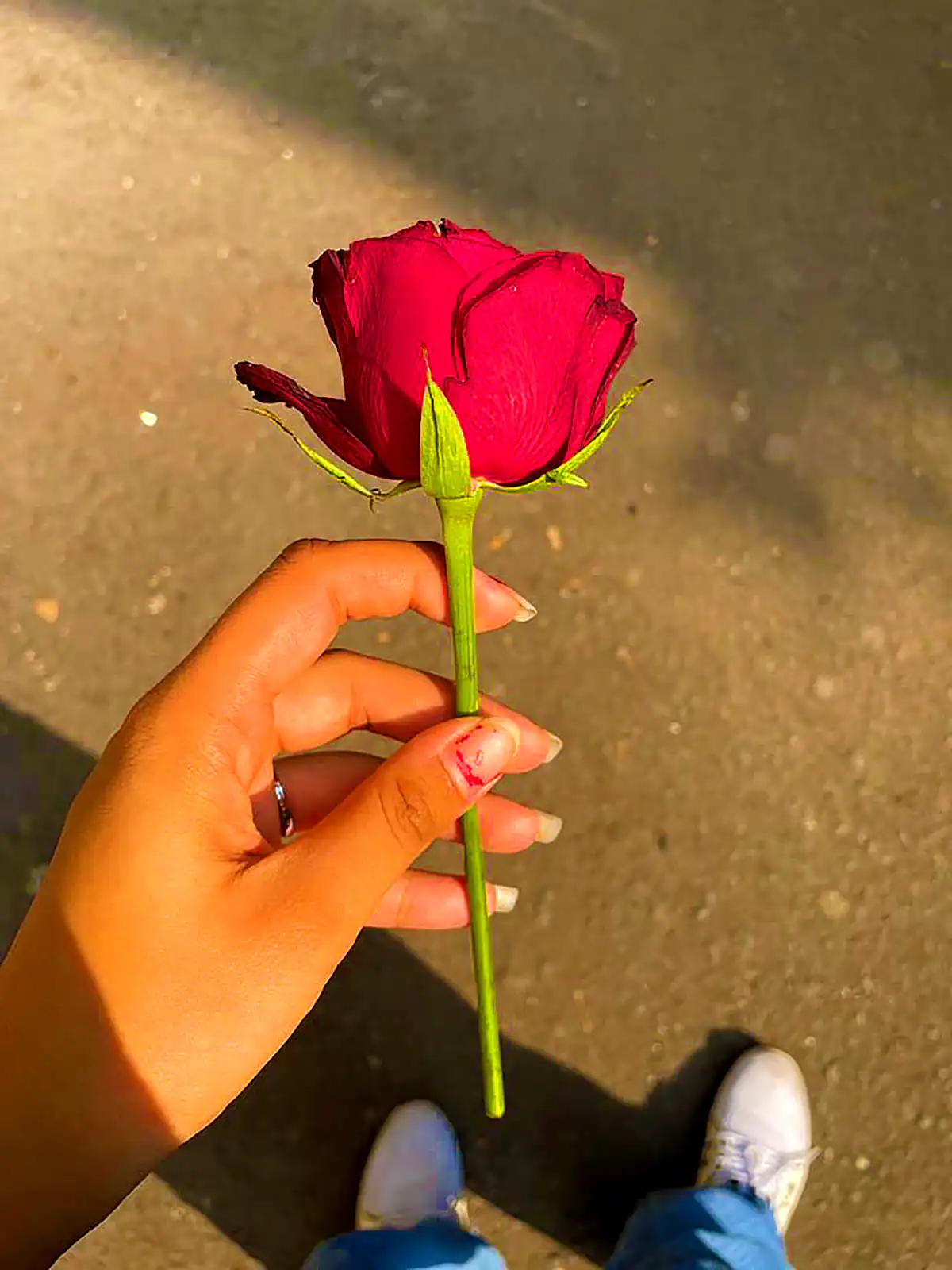 عکس گل در دست
