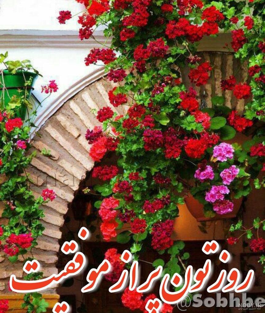 عکس ظهر بخیر