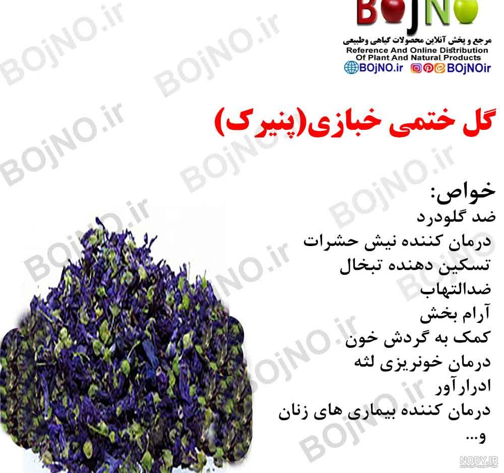 عکس گل ختمی و پنیرک
