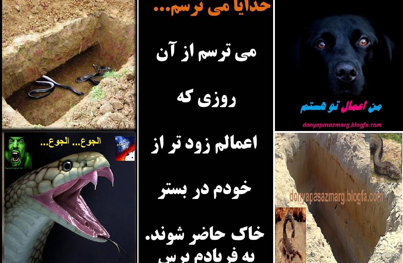 عکس سگ جهنمی