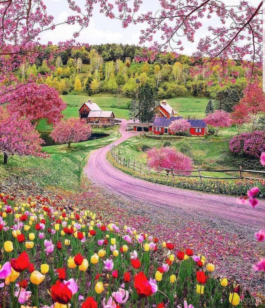 عکس طبیعت برای پروفایل