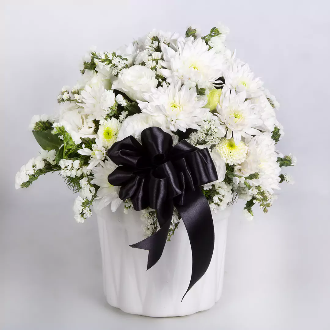 عکس گل برای تسلیت