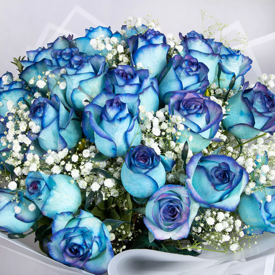 عکس گل رز آبی