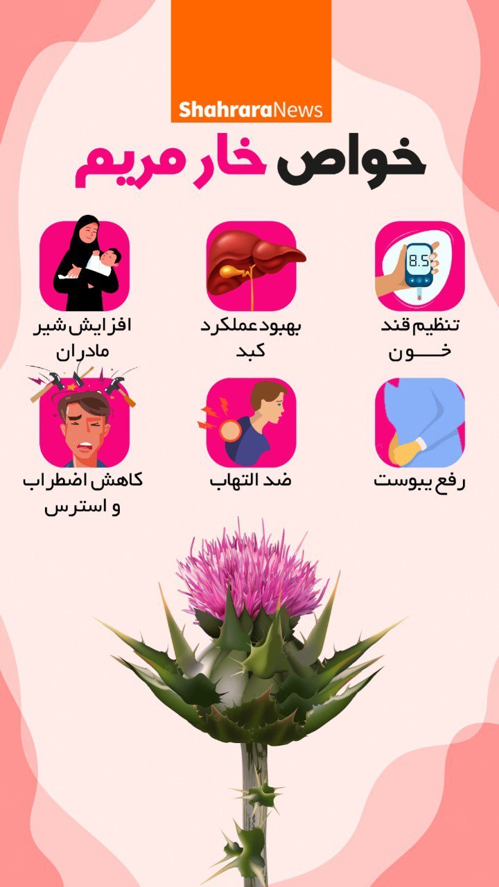 عکس گل خار مریم
