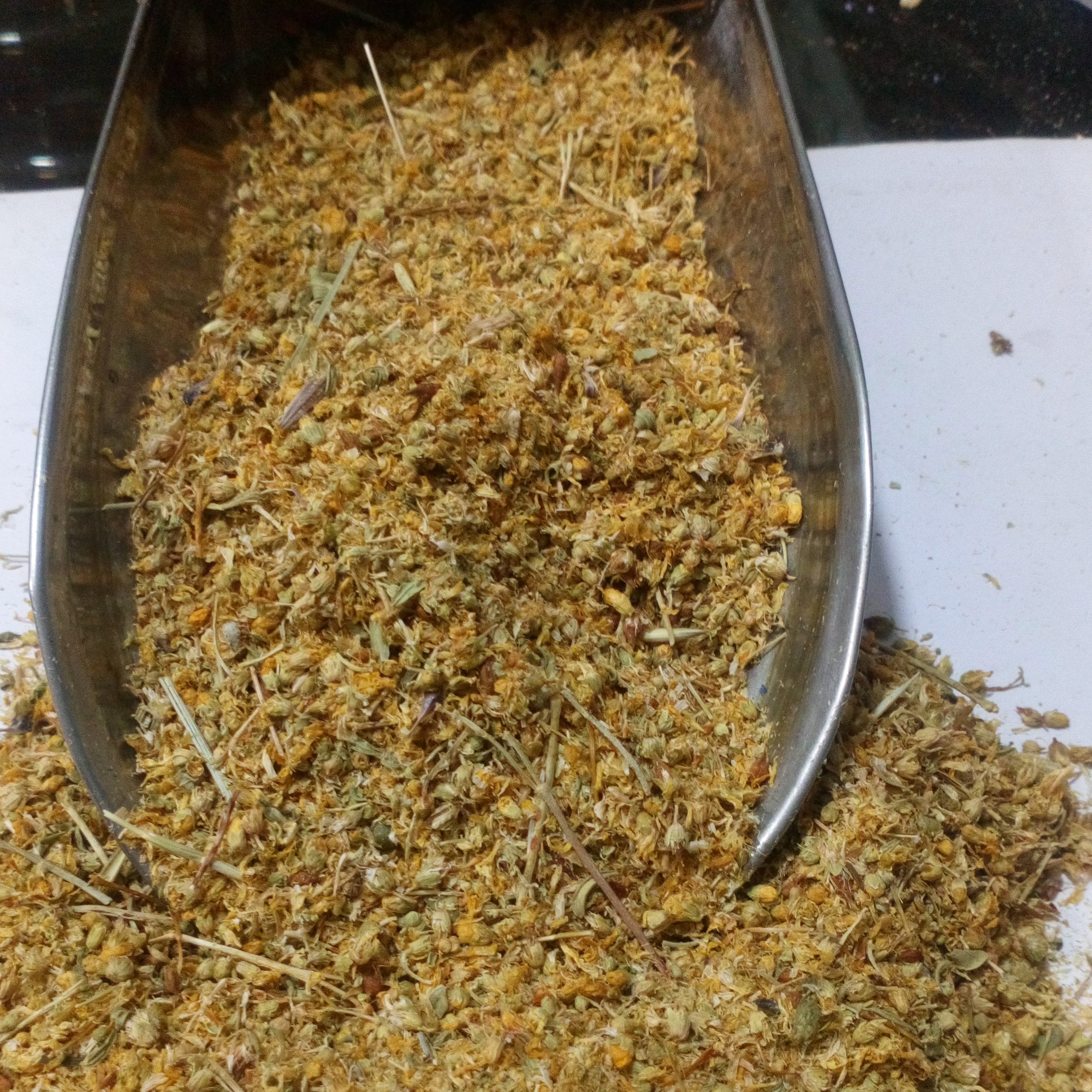 عکس گل راعی خشک شده