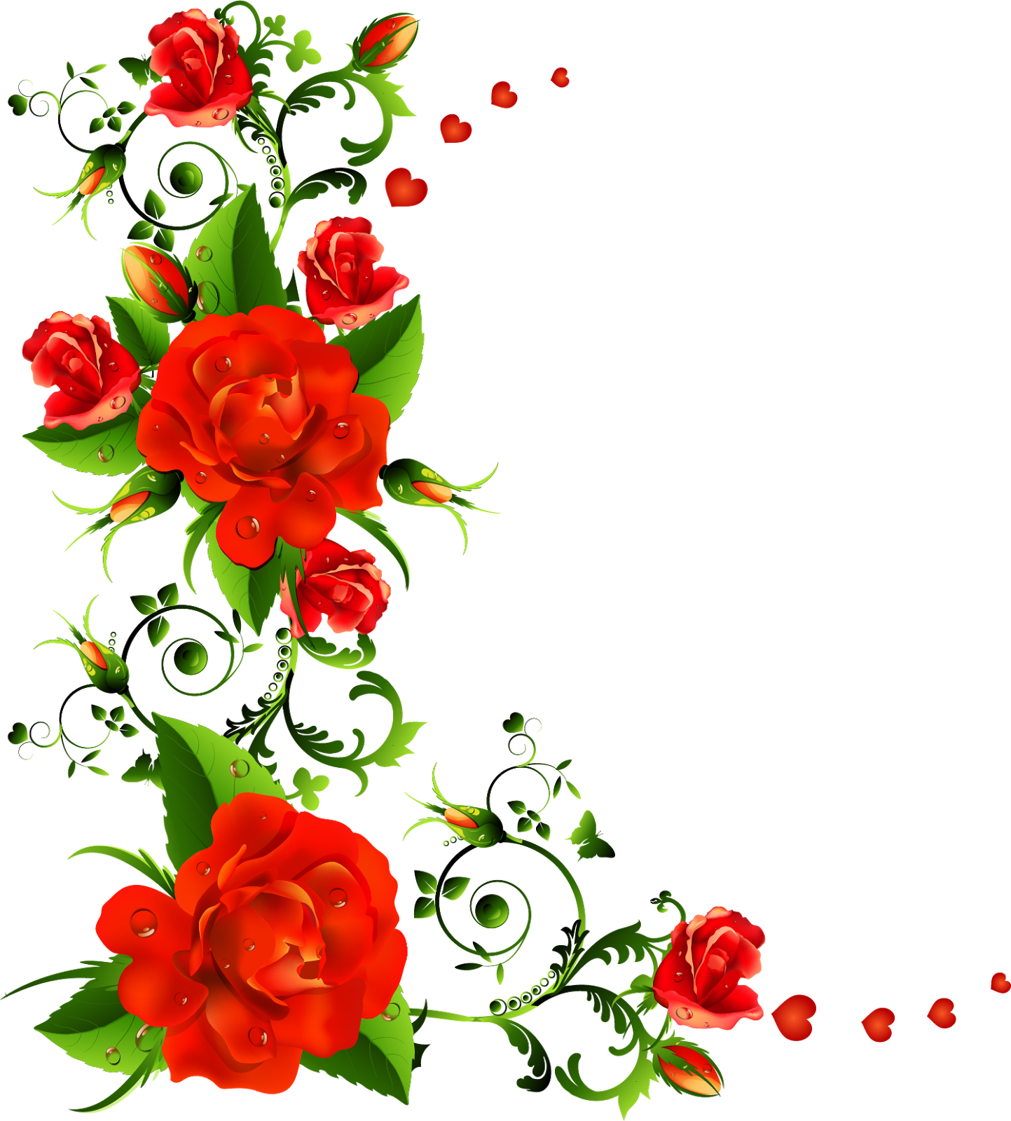 عکس گل حاشیه