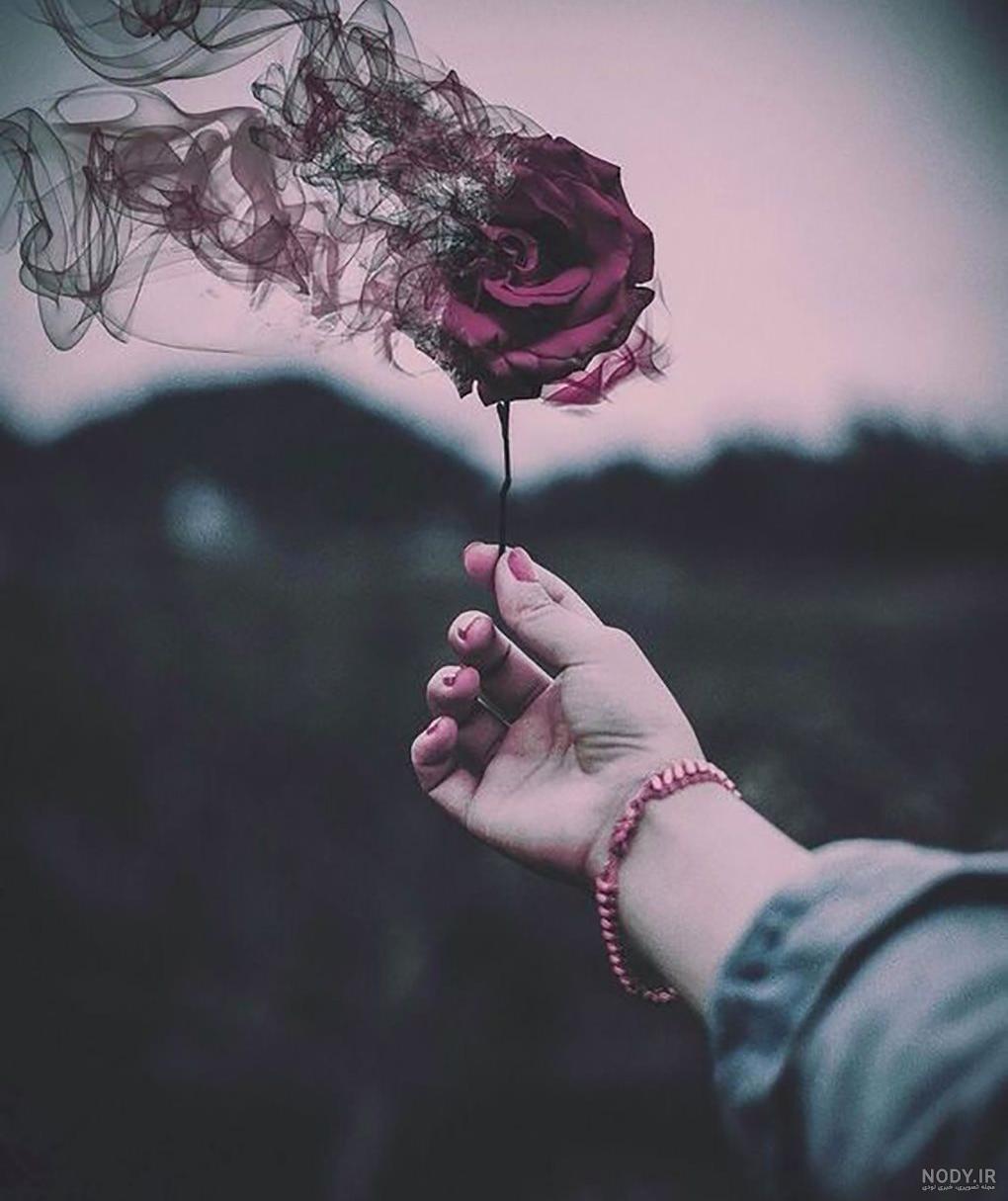 عکس گل پژمرده