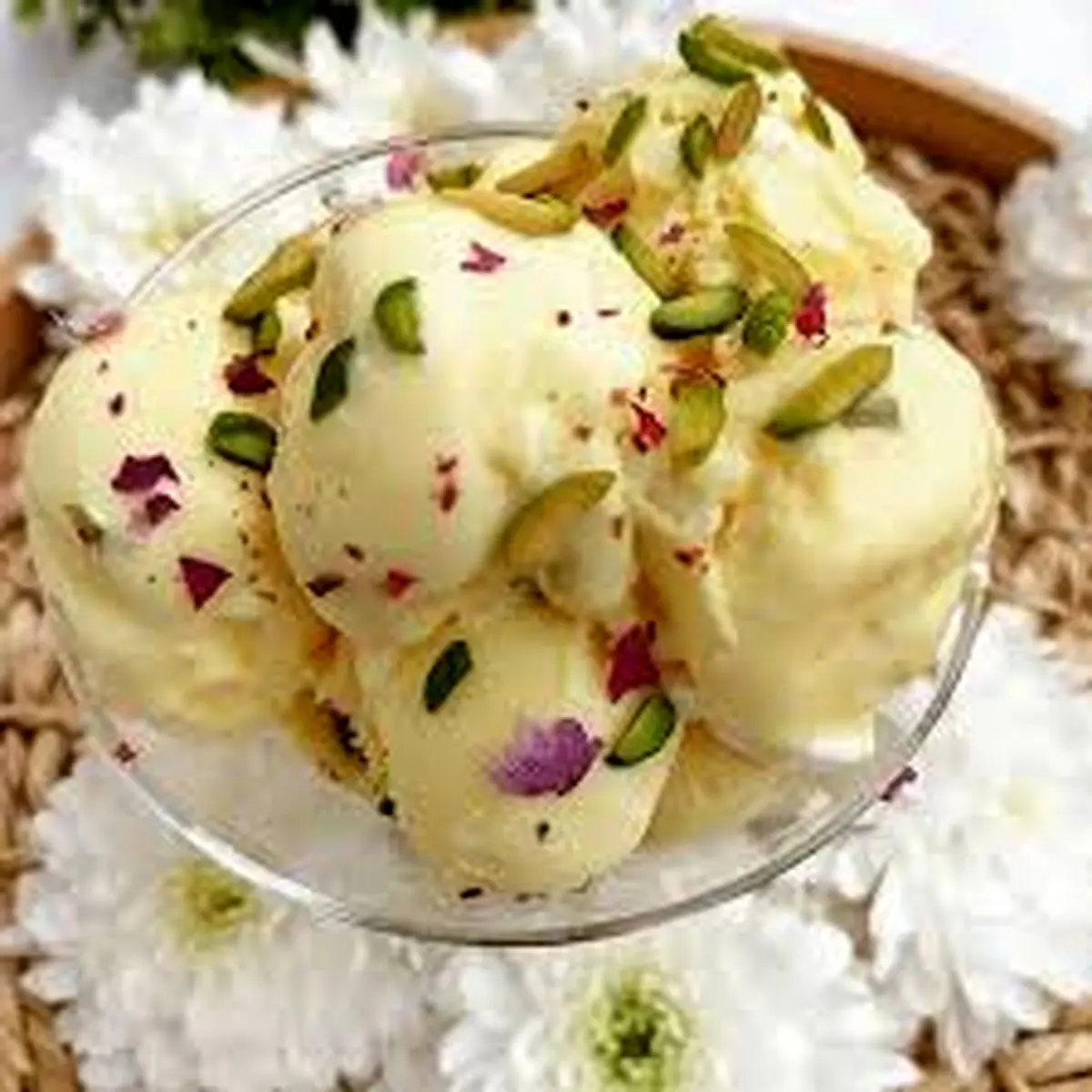 عکس ثعلب بستنی