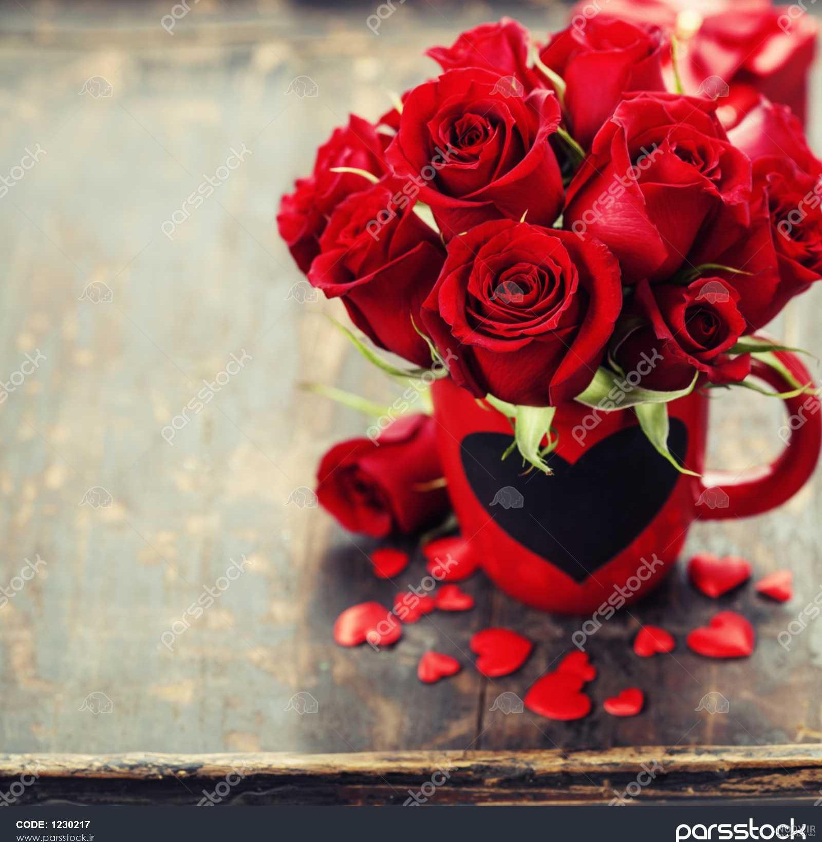 عکس گل رز قرمز عاشقانه