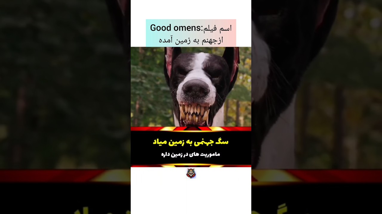 عکس سگ جهنمی
