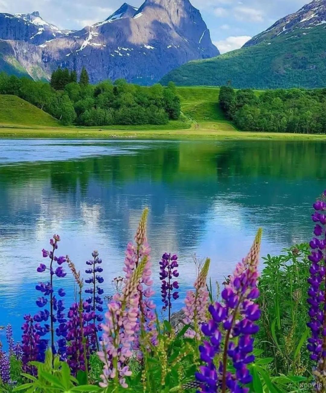 عکس کوه و طبیعت