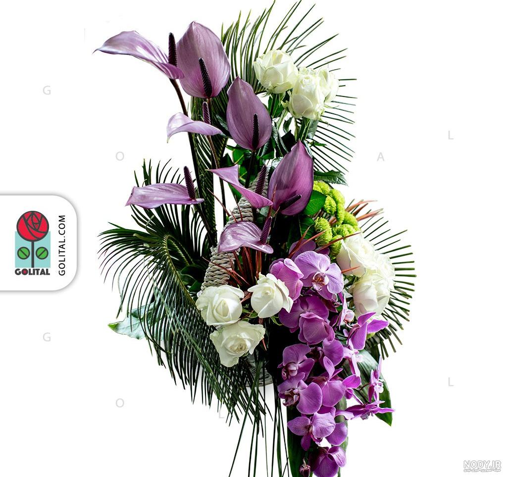 عکس گل چیچک