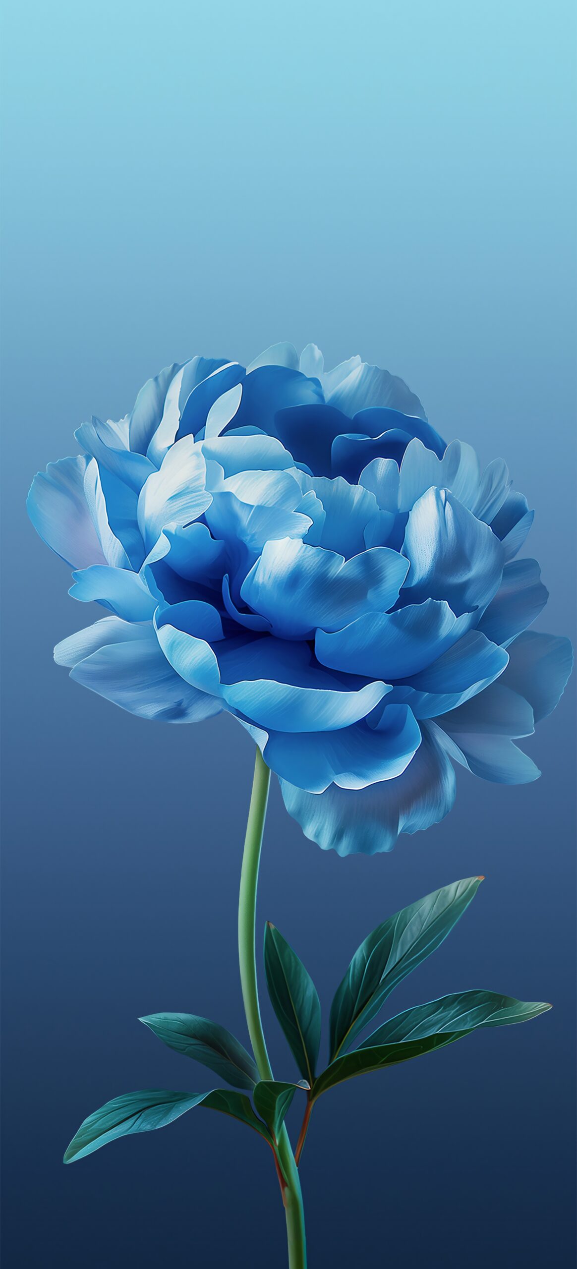 عکس گل با کیفیت