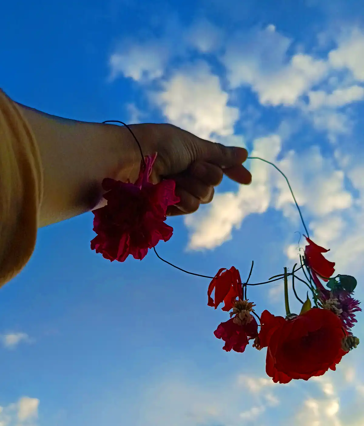 عکس گل برای پروفایل
