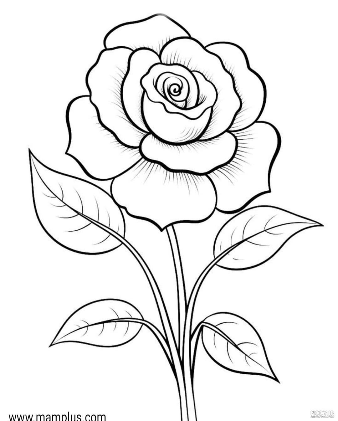 عکس آموزش نقاشی گل