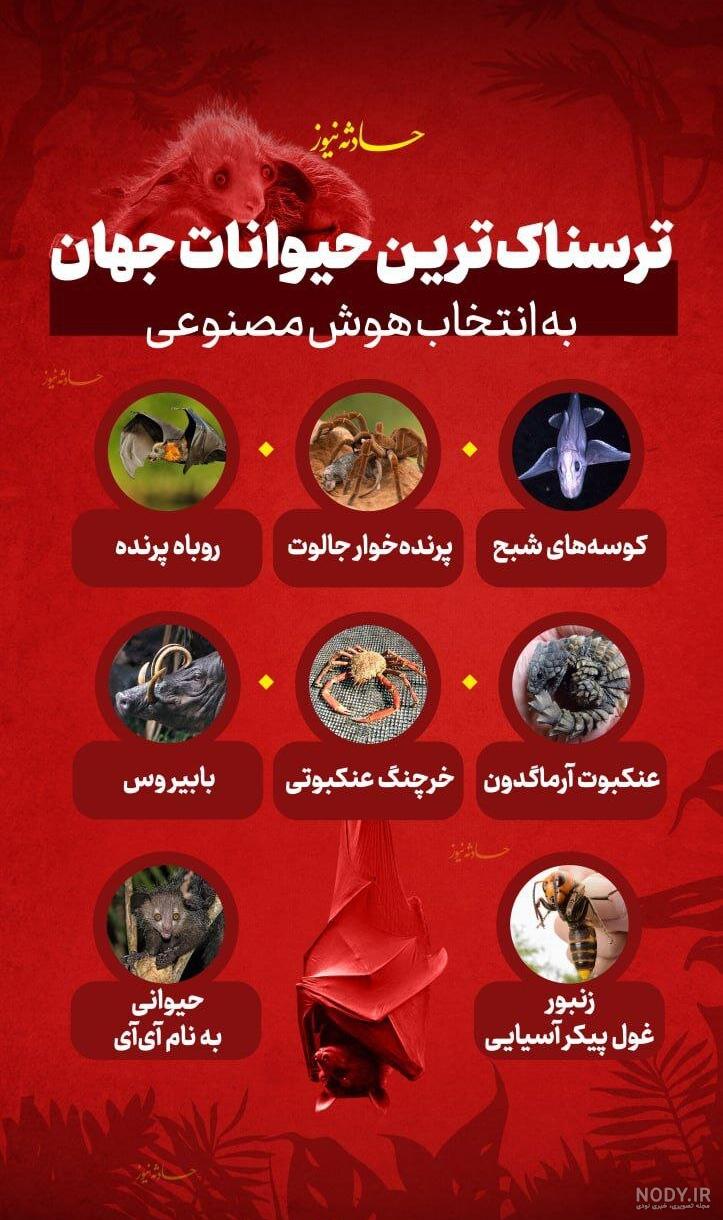 عکس سگ جهنمی