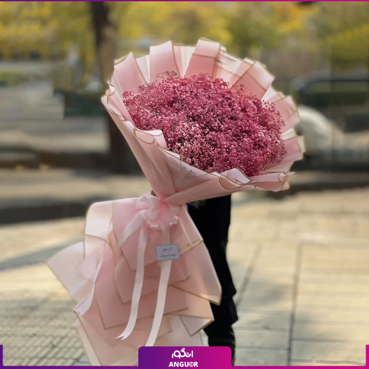 عکس گل ژیپسوفیلا صورتی