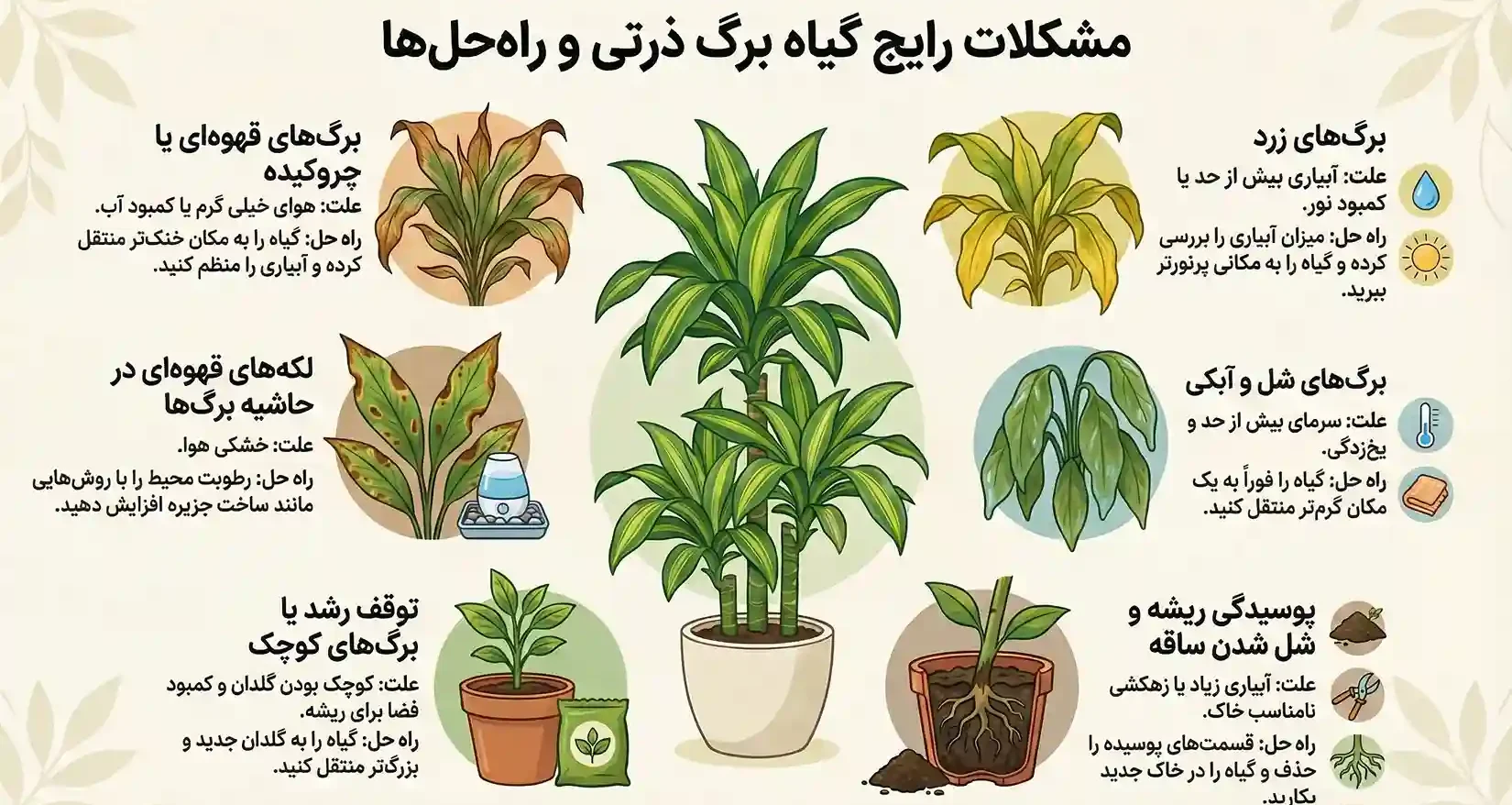 عکس گل برگ ذرتی