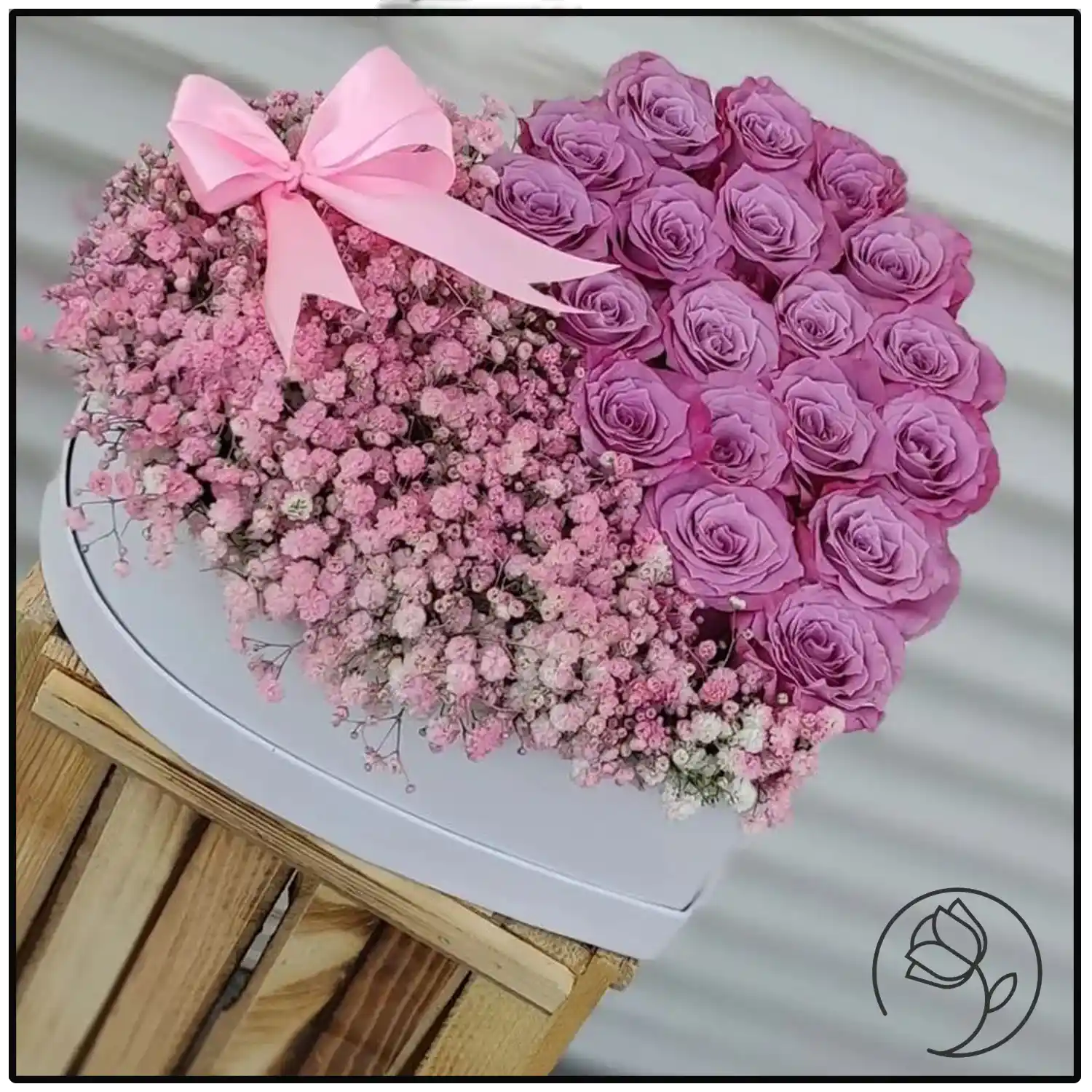 عکس گل ژیپسوفیلا صورتی
