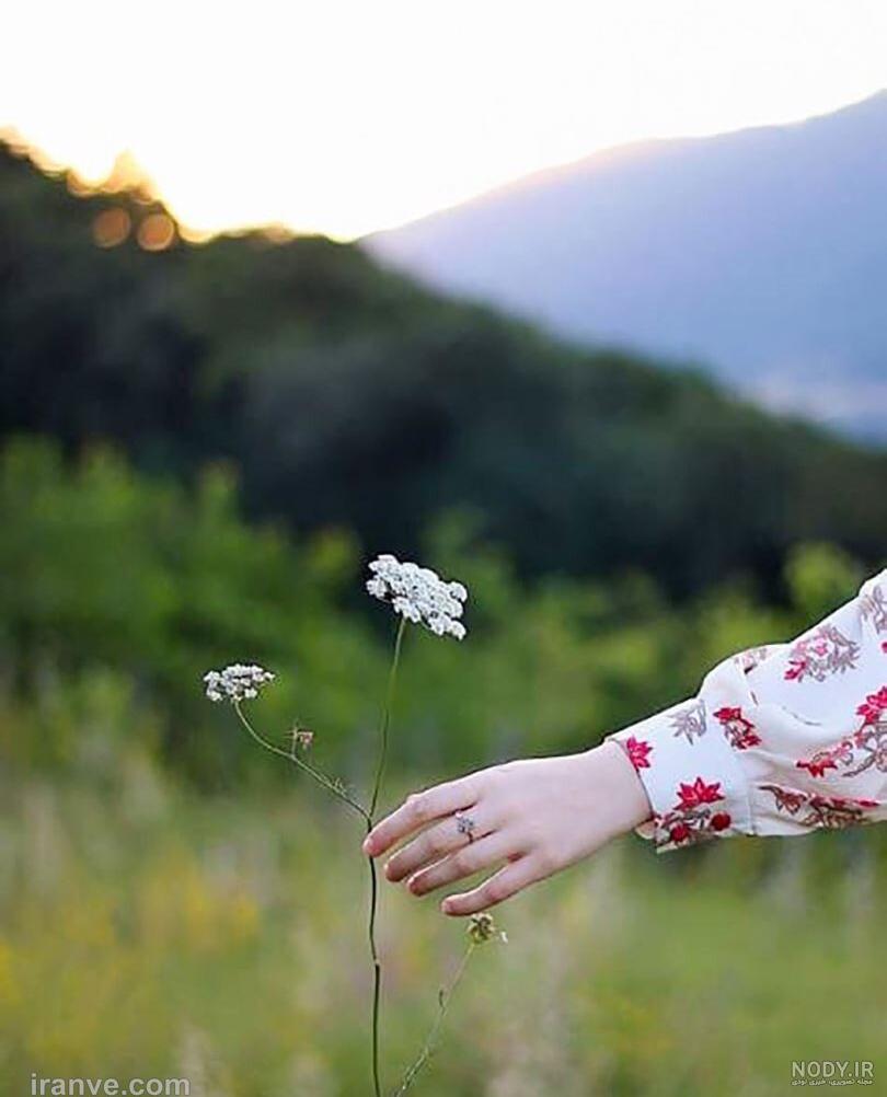 عکس طبیعت برای پروفایل