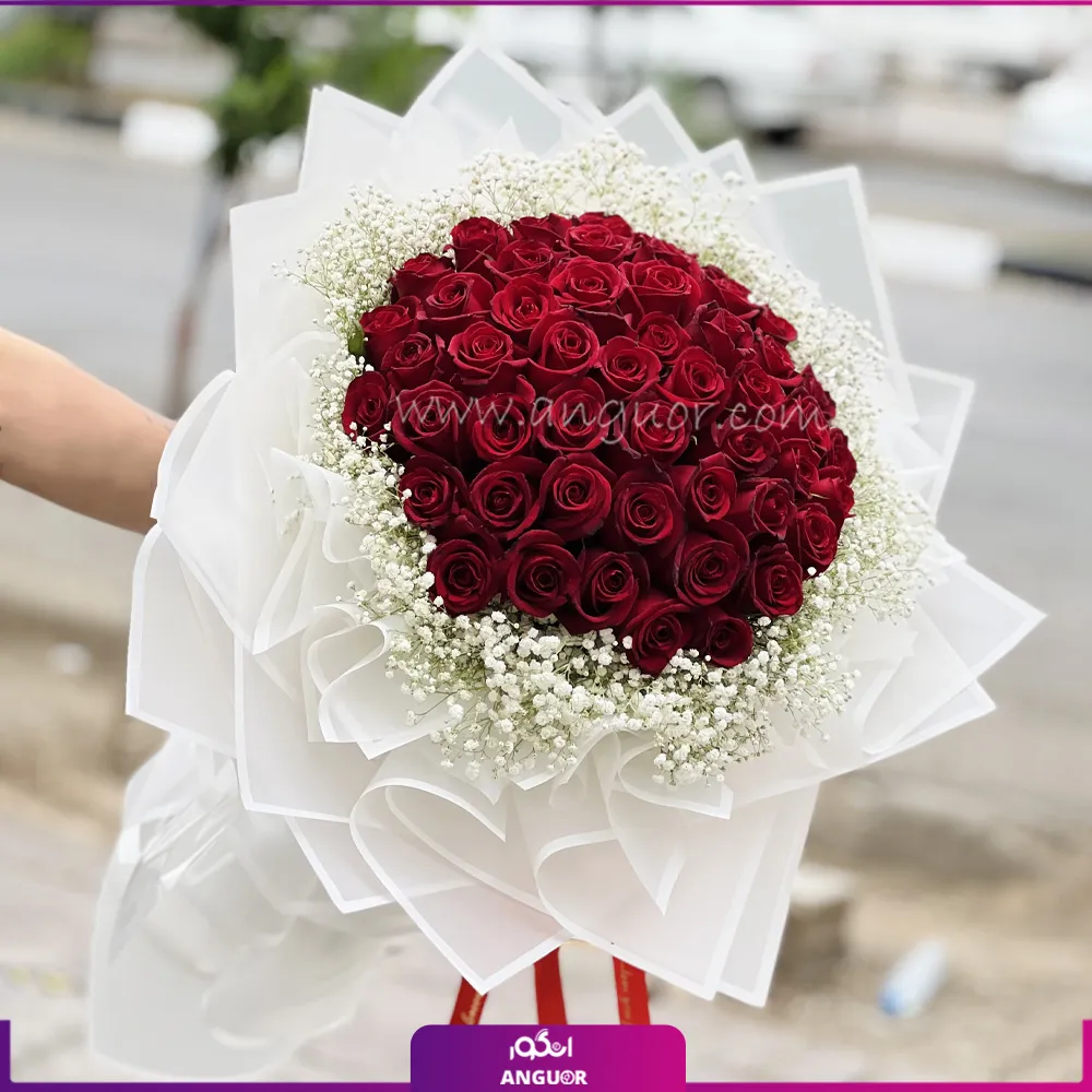 عکس گل روز قرمز