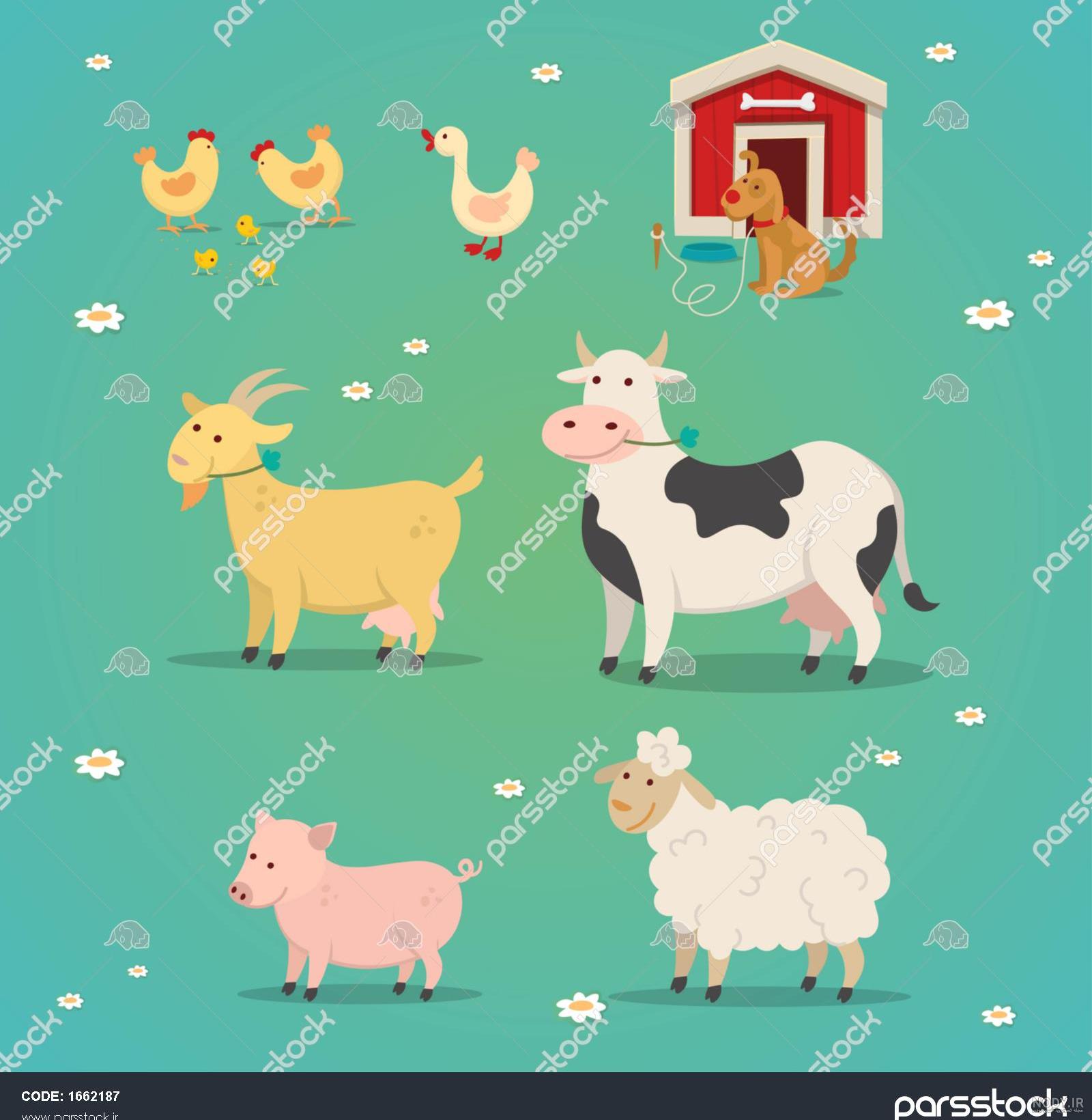 اردک کارتونی عکس گاو خنده دار