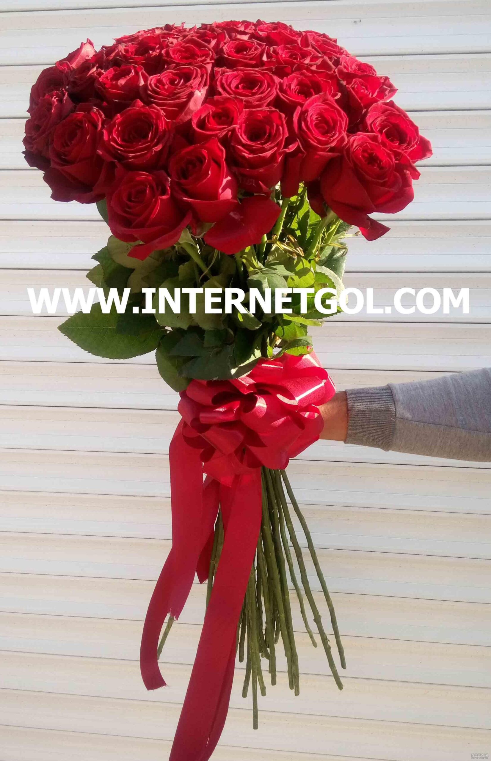 عکس گل ذوزنقه