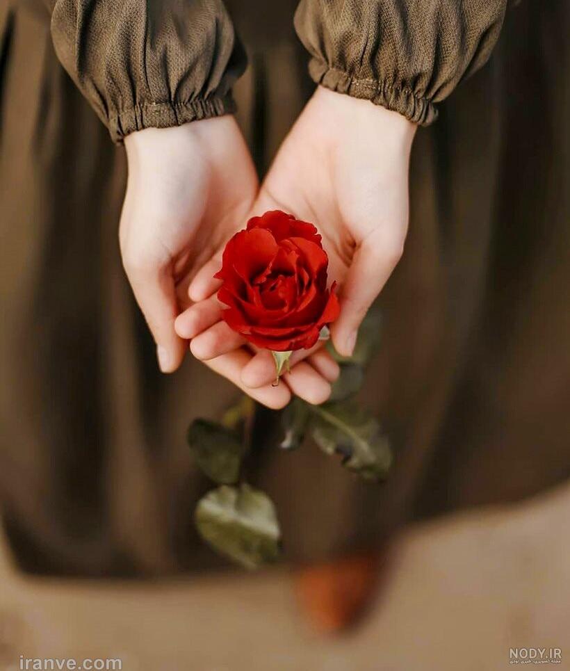 آموزش عکس گرفتن با گل