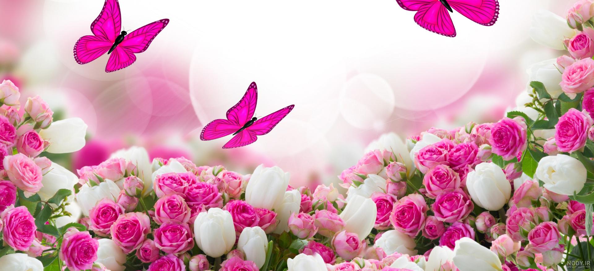 عکس گل خوشگل برای پروفایل
