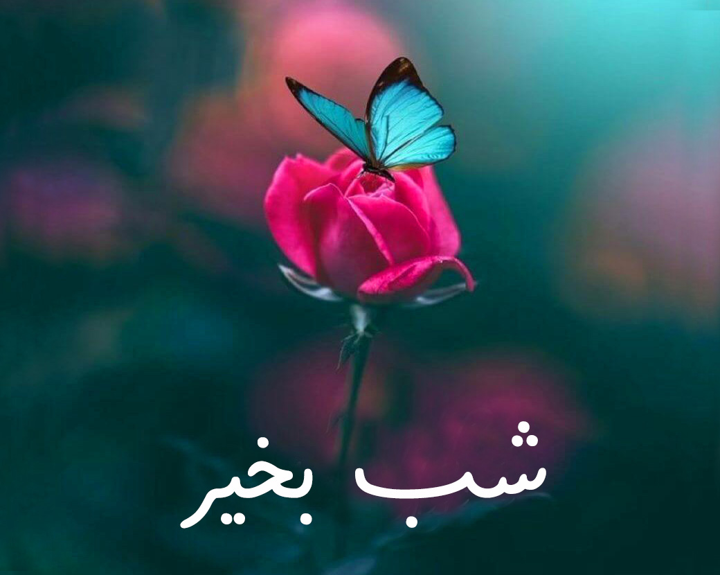 متن شب بخیر عاشقانه