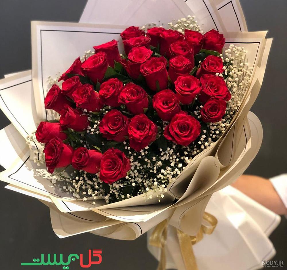 عکس گل روز