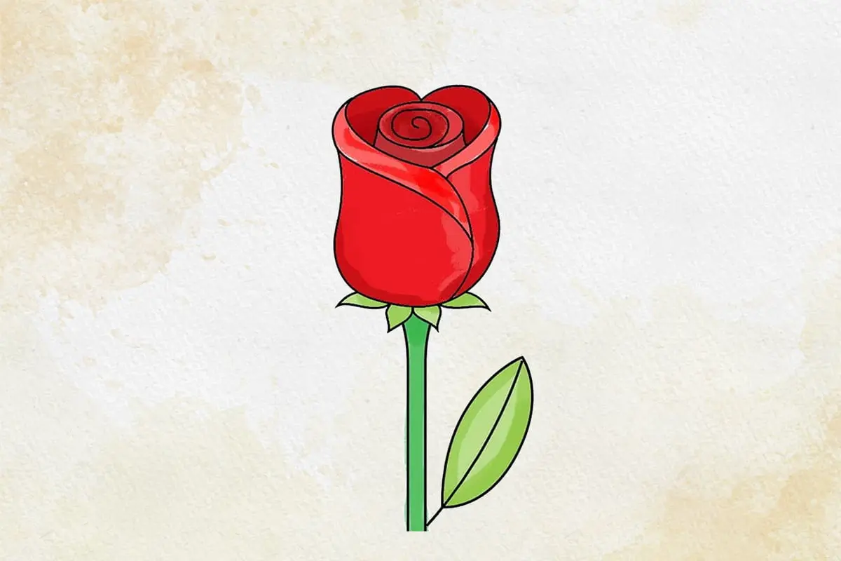 آموزش عکس گل رز