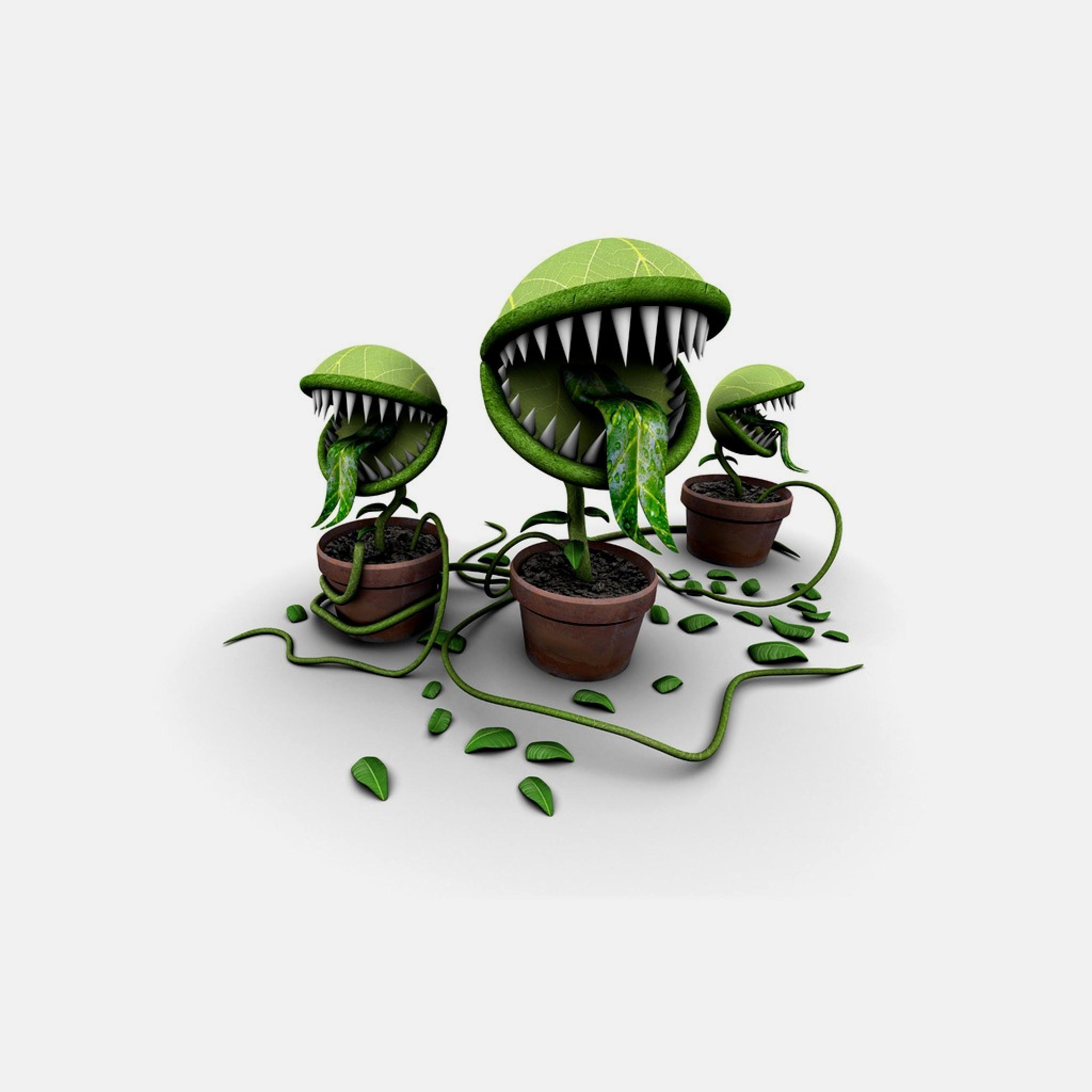عکس گل حشره خوار