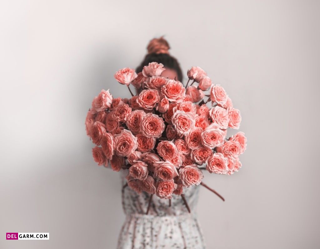عکس گل برای استوری
