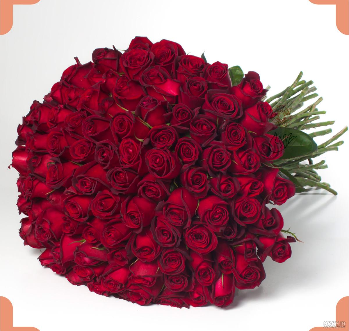 عکس گل خیلی زیبا