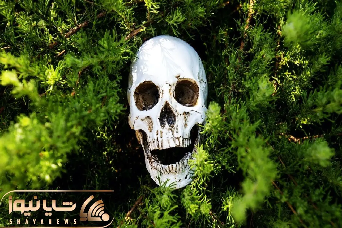 عکس گل زشت