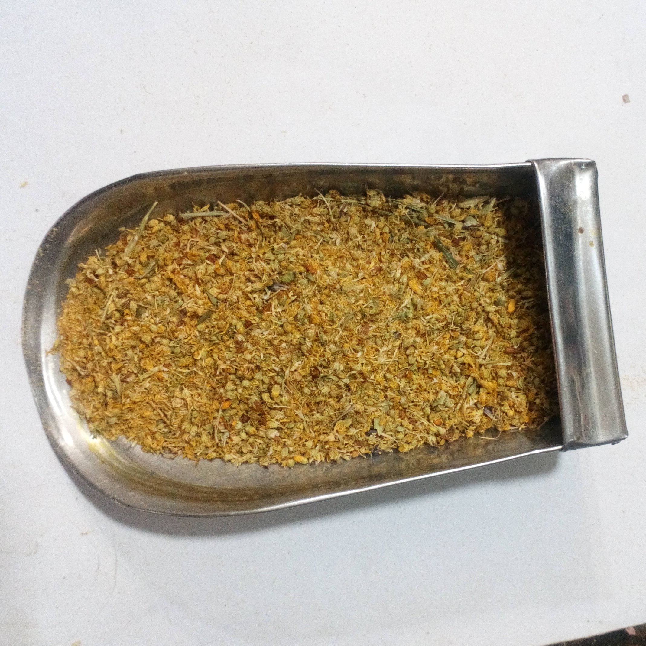 عکس گل راعی خشک شده