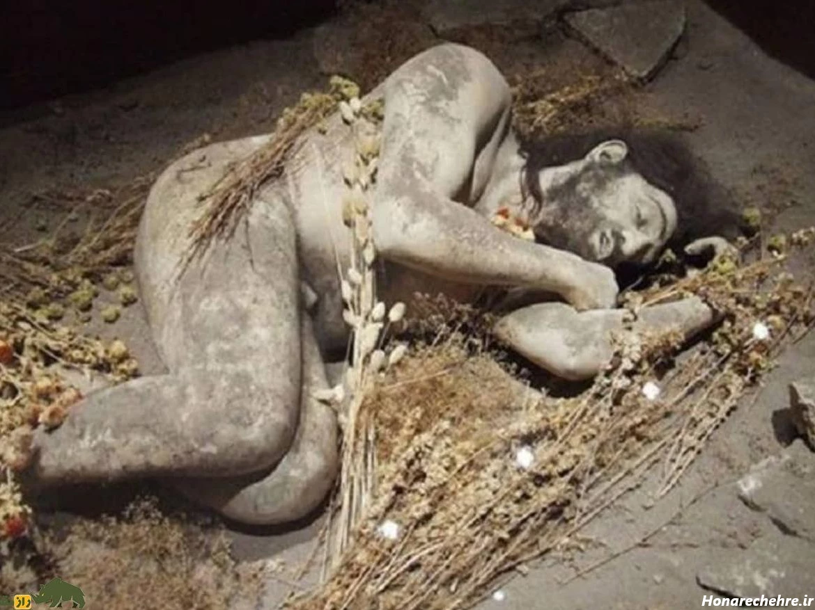 عکس سگ اصحاب کهف
