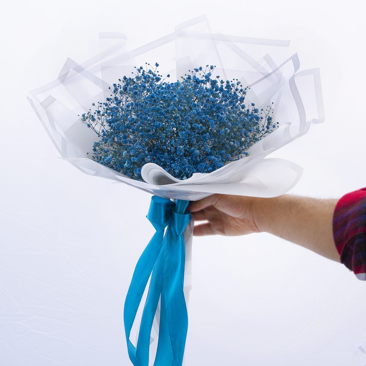 عکس گل ژیپسوفیلا آبی