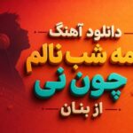 آهنگ همه شب نالم چون نی از غلامحسین بنان
