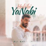 آهنگ حبیبی یا نابی با صدای علی قلیچ