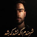 آهنگ شرمندم اگه نشد که بشه دیدی رفتم و ازت دل کندم