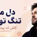 آهنگ دل من تنگ تو شد کاش که پیدا بشوی