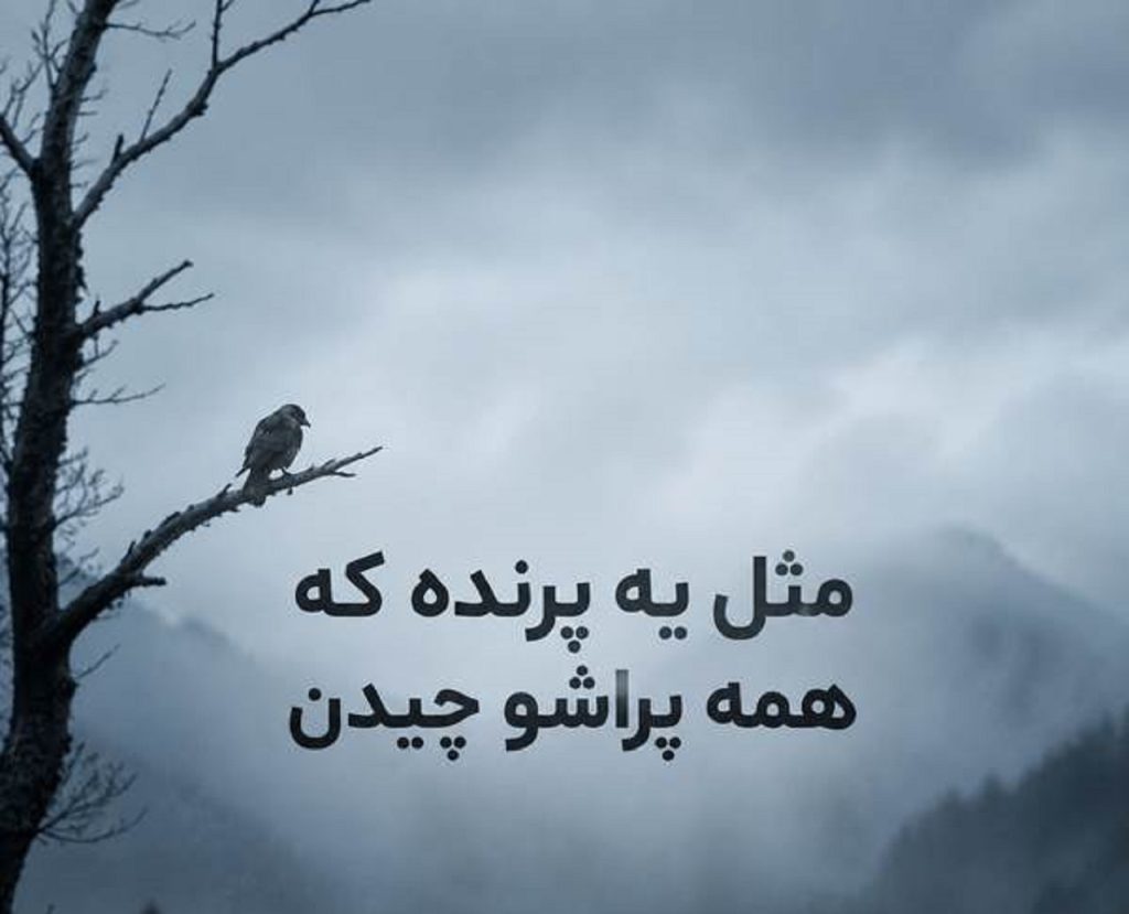 دانلود آهنگ مثل ی پرنده که همه پراشو چیدن | ترند اینستا شادمهر