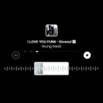 آهنگ فانک I LOVE YOU FUNK از Young Madz ورژن Slowed