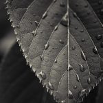 عکس والپیپر فول اچ دی
