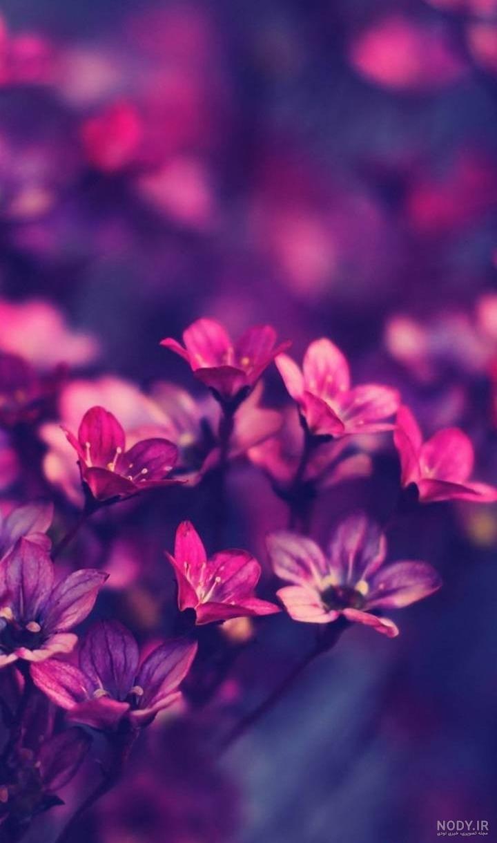 عکس والپیپر صفحه