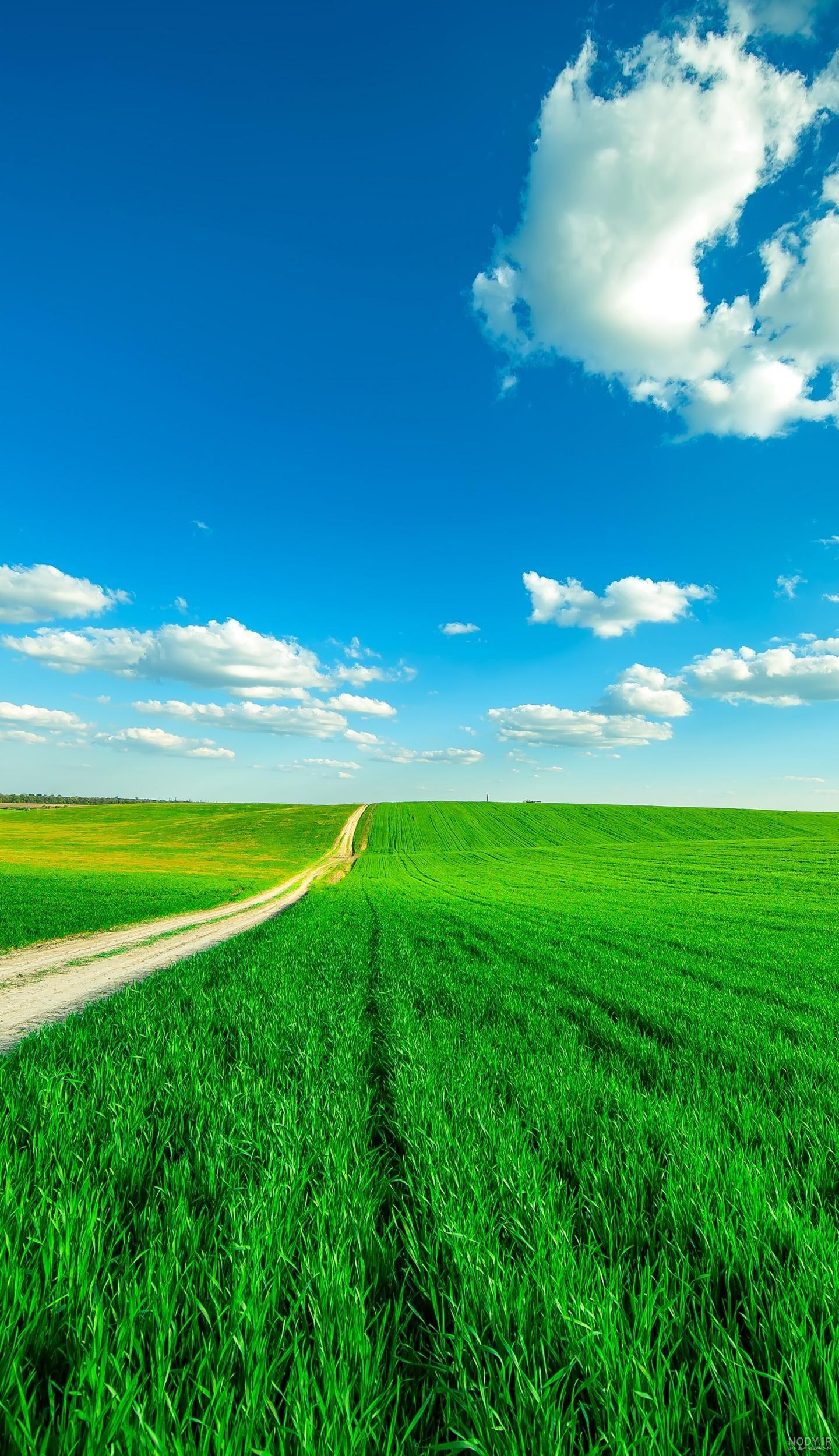 عکس والپیپر برای گوشی